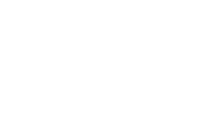 Logo Soitron