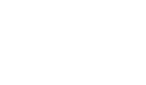 Logo Viva Agency