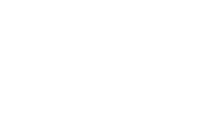 Logo Partners Group
