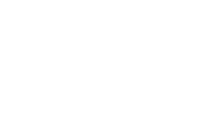 Nadácia Volkswagen logo