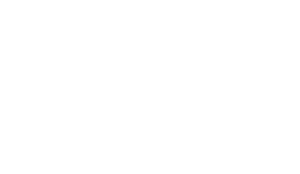 X-bionic sphere logo